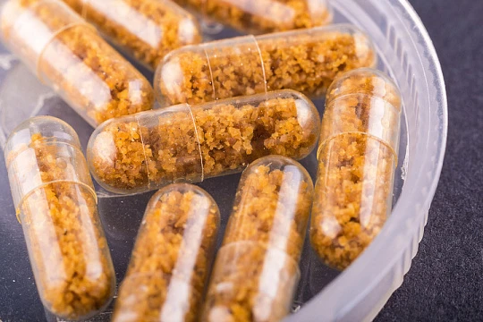 Фекальную микробиоту используют для лечения меланомы